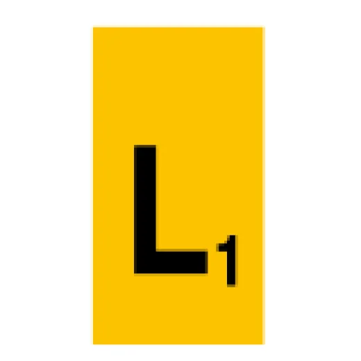 L1