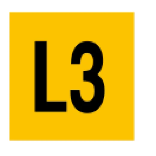 L3