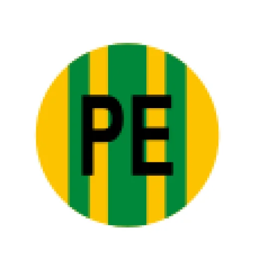 PE